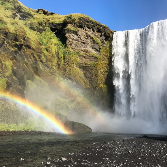 Meet your Posher, Marcela - Picture 1 of 1